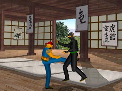 Samurai Warrior (Fighting)